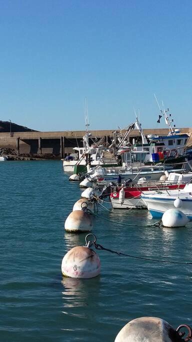 Entre Golfe Et Ocean Villa La Trinité-Surzur Dış mekan fotoğraf