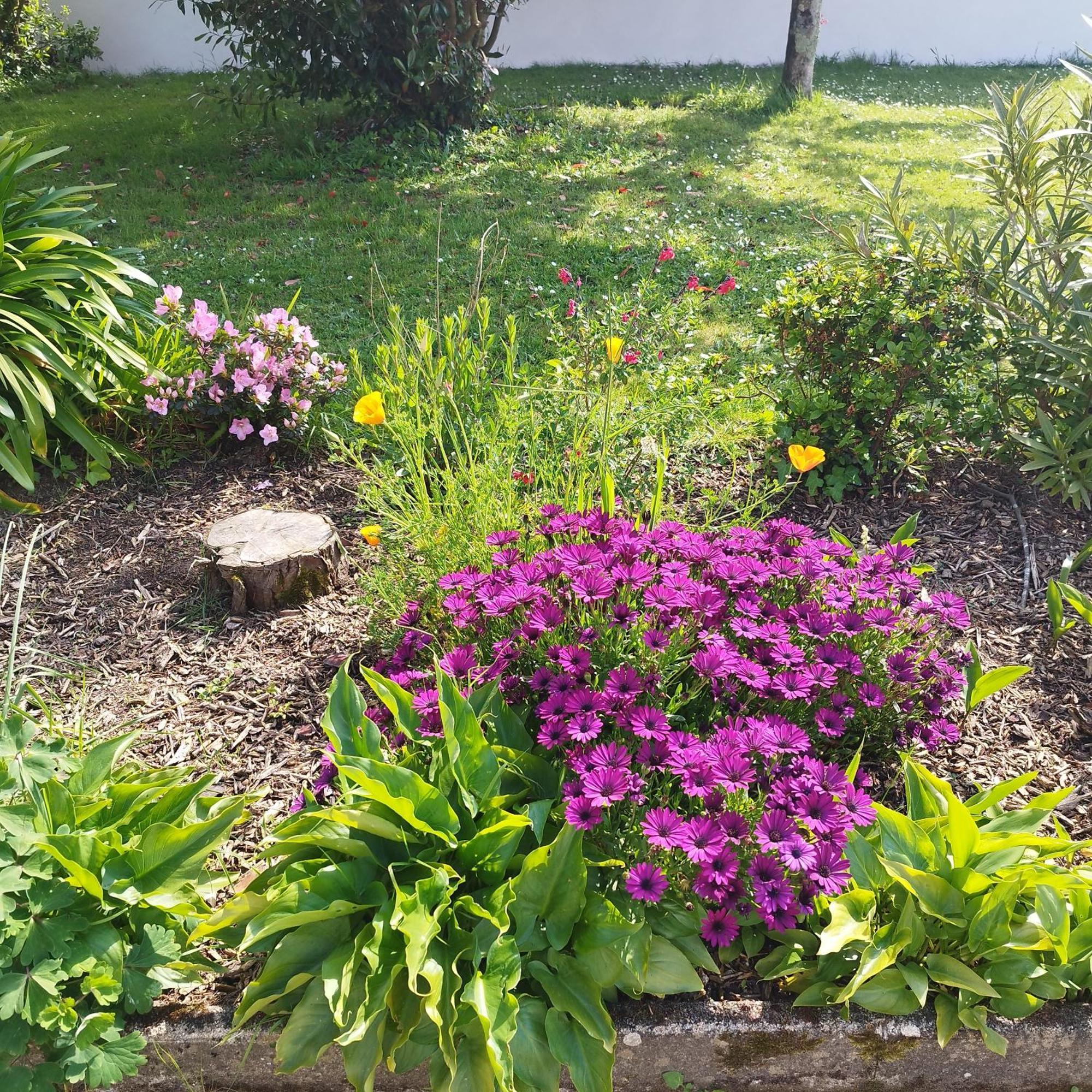 Entre Golfe Et Ocean Villa La Trinité-Surzur Oda fotoğraf